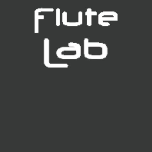 Flute Lab Headjoints